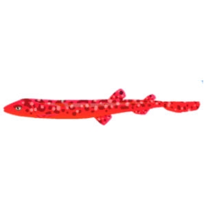 Red Coral Cat Shark